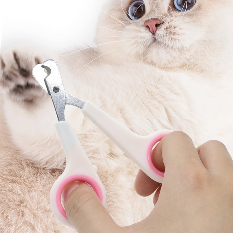 Pet Nail Dog Nail Clippers Sci - огляд і ціна Home Barbershop
