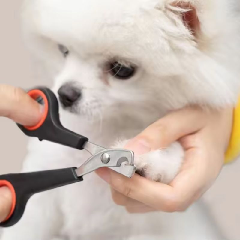 Pet Nail Dog Nail Clippers Sci - огляд і ціна Home Barbershop